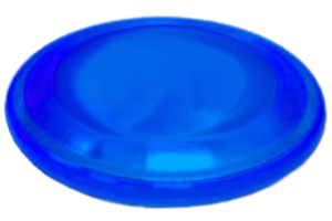 300x200 Blue Frisbee Free Images