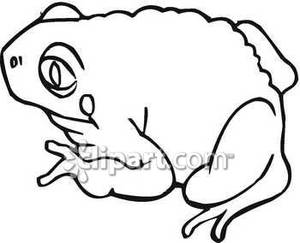 300x243 Toad Clipart Black And White