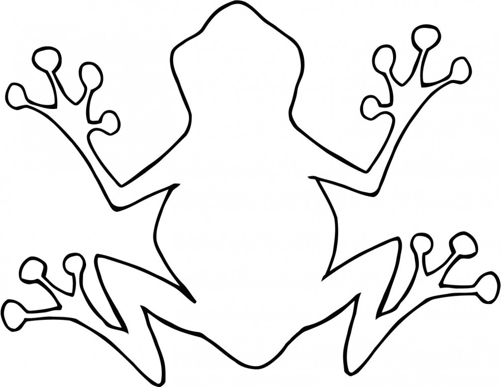 1007x778 Outline Of A Frog