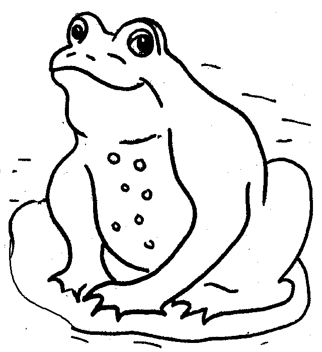 640x699 Free Frog Clipart Black And White Image
