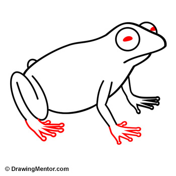 350x350 How To Draw A Frog Tutorial