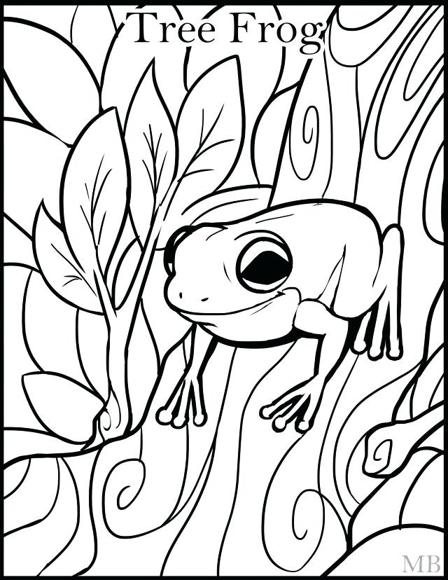 640x828 Frog Pictures For Kids Tree Coloring Page Clip Art Library