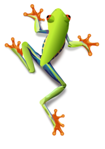 210x298 Tree Frog Clipart Black And White