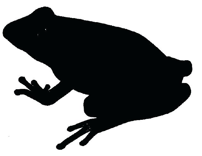 649x500 Frogs Clipart Clip Art Of A Black And White Smiling Frog By Hit