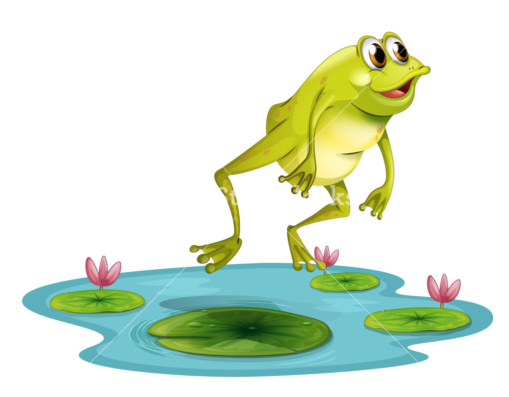 1000x780 Illustration Of A Jumping Frog