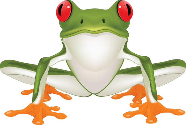 600x403 Picture Of Frog