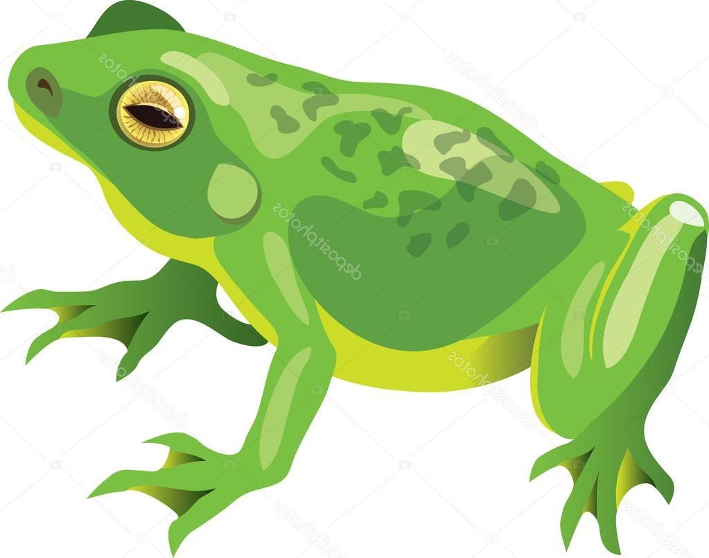 1023x805 Best Frog Vector Image Free Vector Art, Images, Graphics Amp Clipart