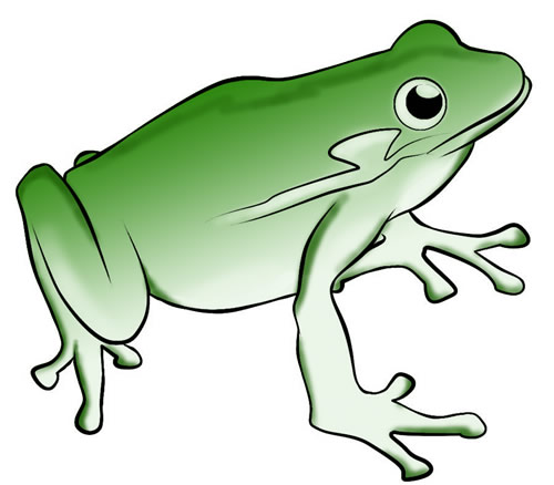 500x438 Frog Clip Art For Teachers Free Clipart Images 3