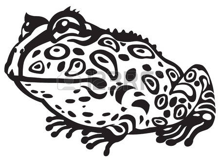 450x330 Horned Frog Clip Art Clipart