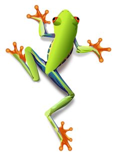 236x333 Cute Frog Graphics Free Frog Practicing Yoga Clip Art Frogs