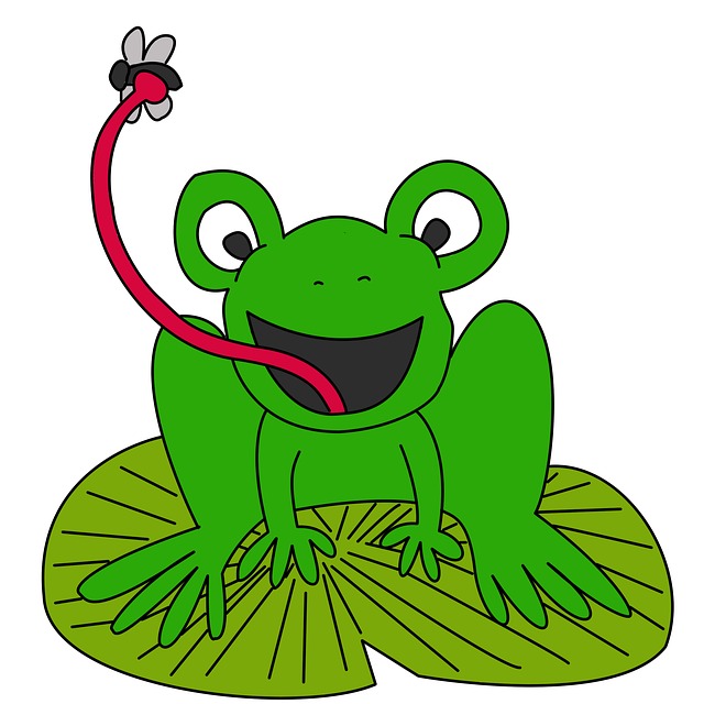 640x640 Animals Clipart Frog On Lily Pad Clipart Gallery ~ Free Clipart Images