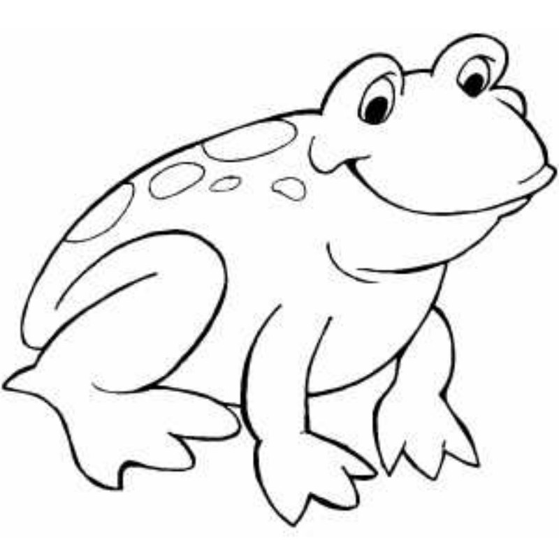 800x800 Frog Outline Template Many Interesting Cliparts