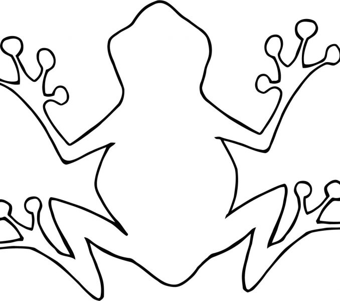 678x600 Outline Of Frog Kids Coloring