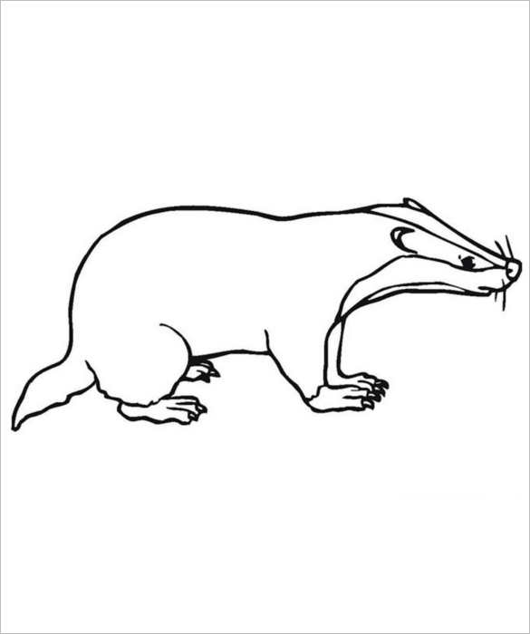 585x700 Body Outline Templates