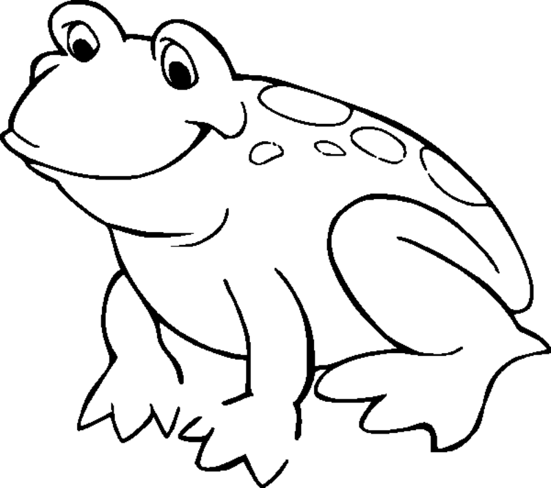 800x709 Pictures Of Frogs For Kids