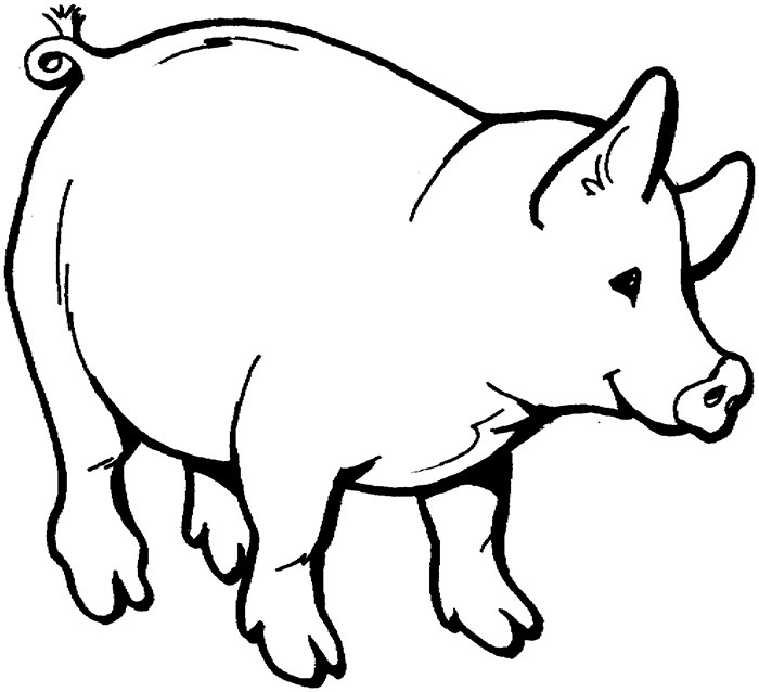 700x638 Pig Template