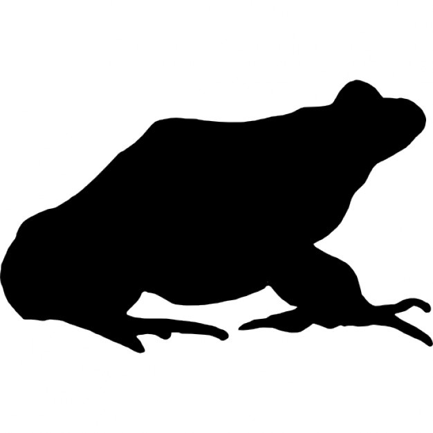 626x626 Frog Silhouette Vectors, Photos And Psd Files Free Download