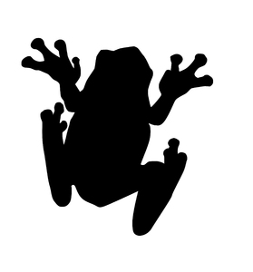 279x300 Shadows Clipart Frog