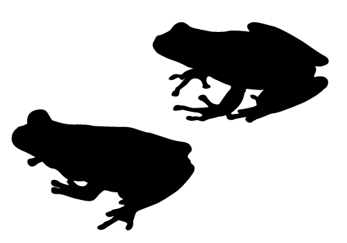 500x350 Silhouette Clipart Frog