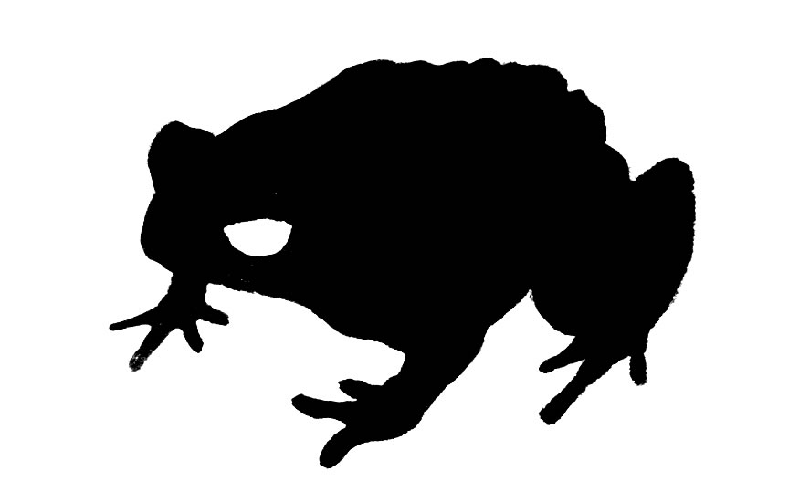 887x539 Toad Clipart Silhouette