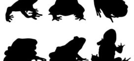 272x125 Frog Silhouette Free Download Clip Art Free Clip Art