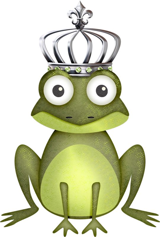 540x800 190 Best Frogs Images Frogs, Clip Art And Cute Frogs