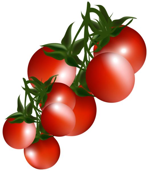 520x600 Tomato Clipart Fruits And Vegetable