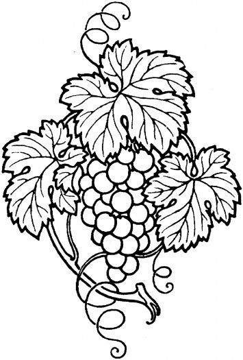 355x525 219 Best Coloring