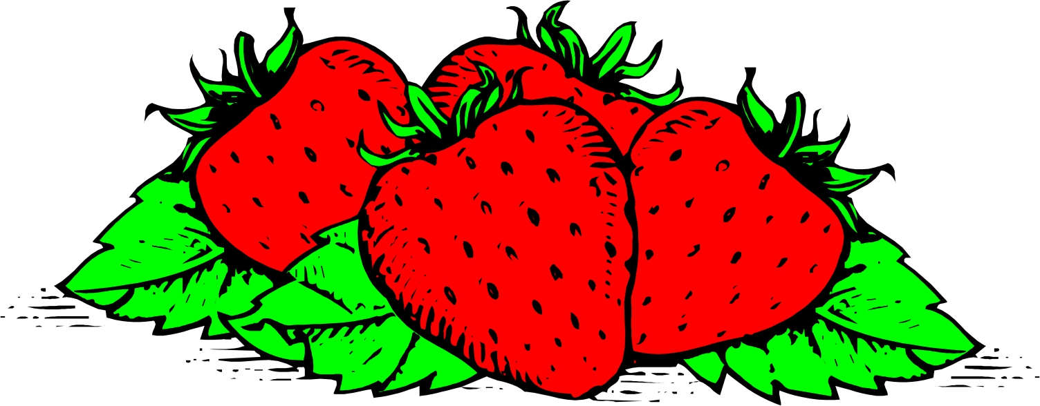 1504x588 Strawberry Clip Art Free Free Clipart Images 5