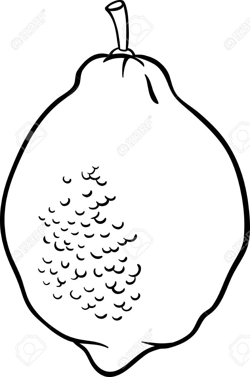 861x1300 Black And White Cartoon Illustration Of Lemon Citrus Fruit Food