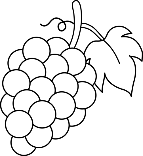 504x550 Fruit Black And White Fruit Black And White Clipart