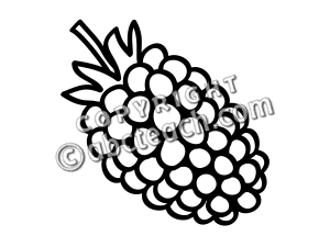 300x225 Whiteberry Fruit Clipart, Explore Pictures