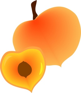 260x300 Fruit Clipart Image