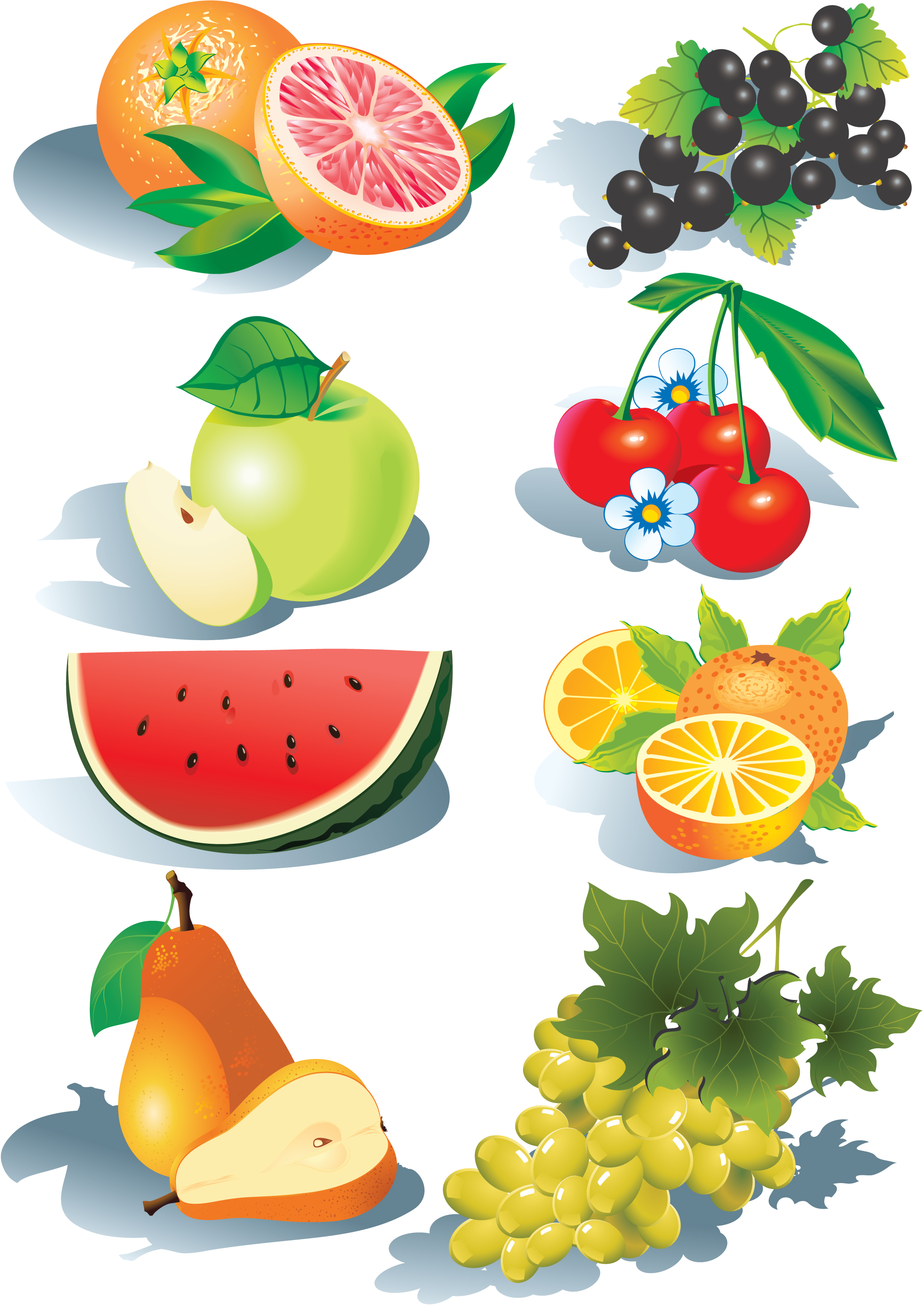 2159x3050 Fruits Vector Free Vector 4vector