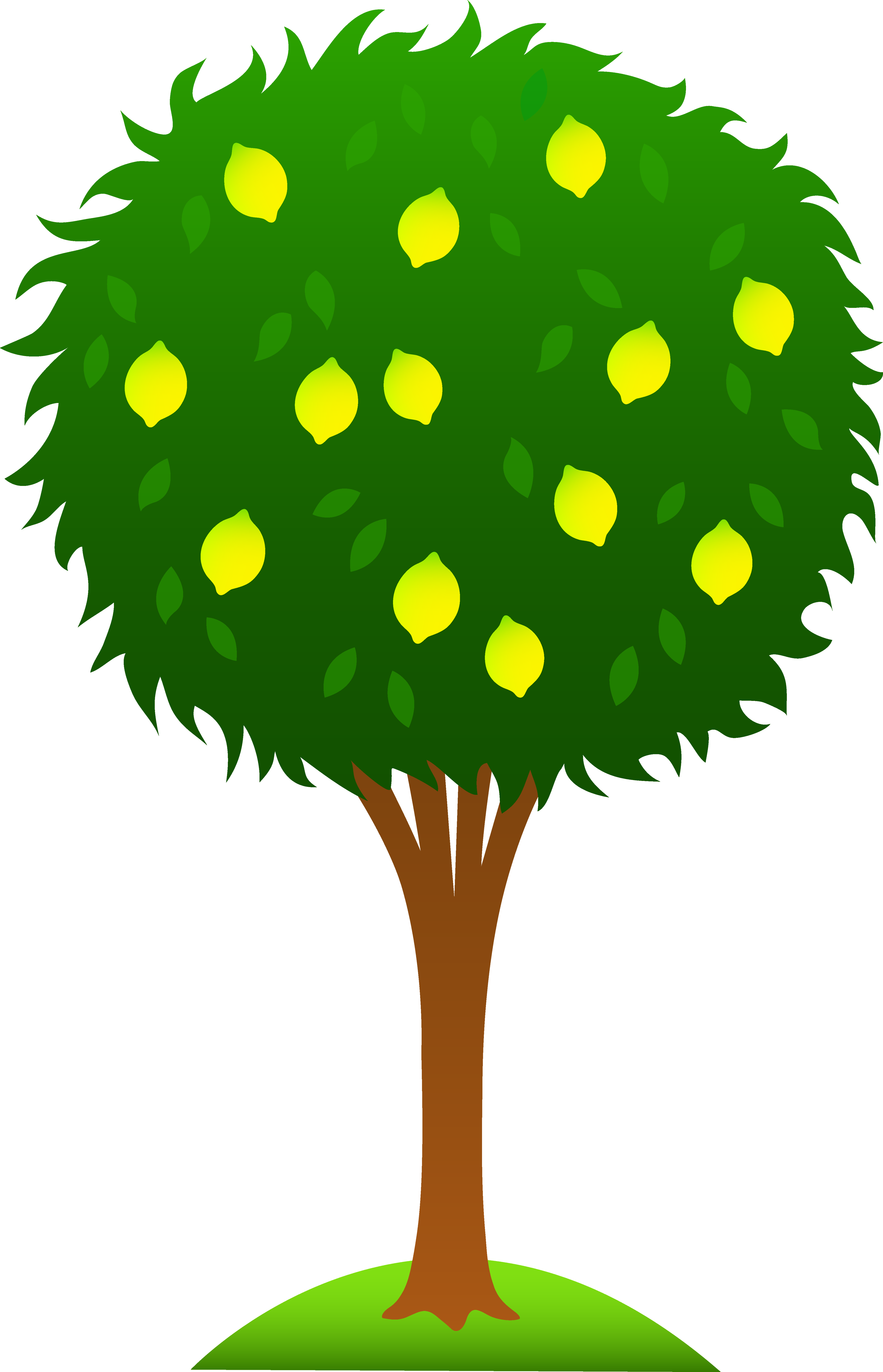 4109x6384 Apple Fruit Tree Clipart