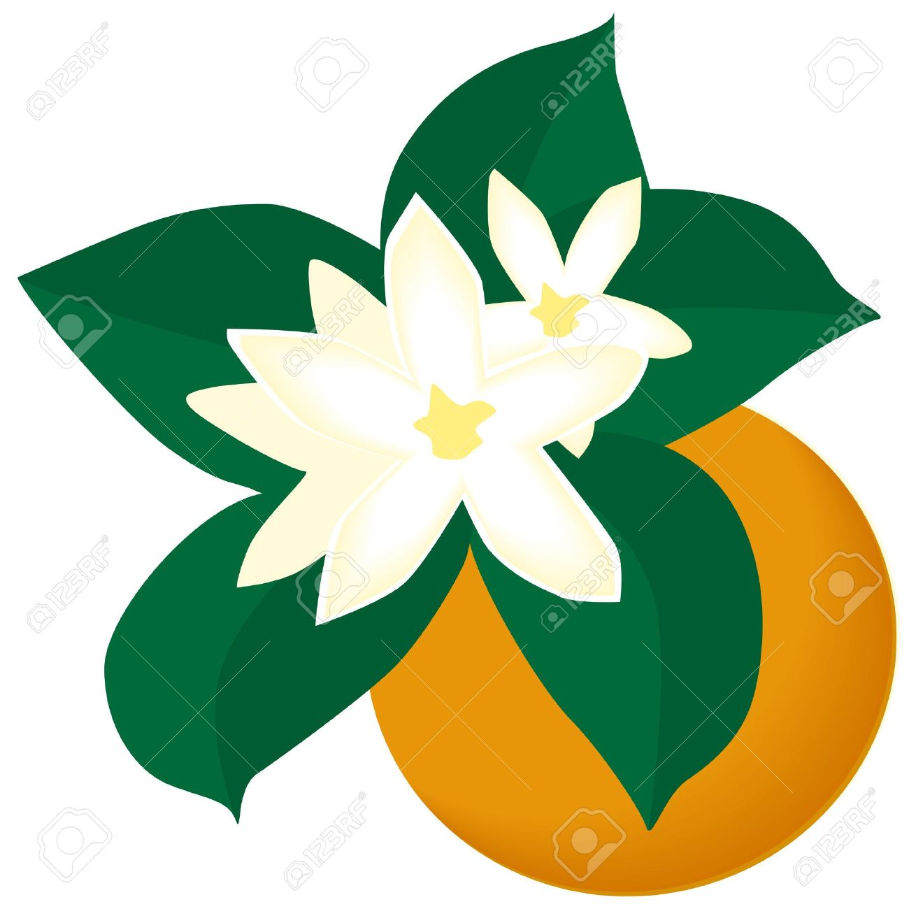 1300x1300 Fruit Blossom Clipart