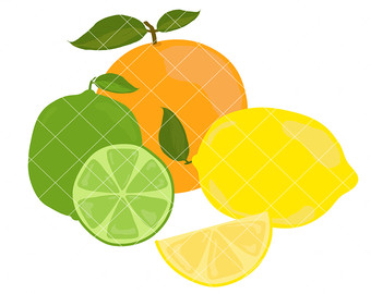 340x270 Orange (Fruit) Clipart Citrus