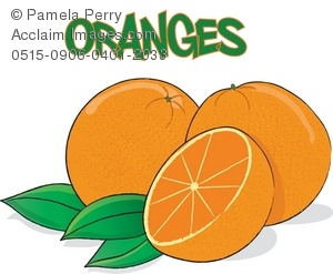 300x247 Art Illustration Of Oranges