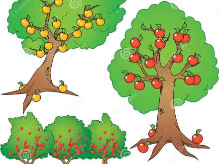 440x330 Fruit Tree Clip Art