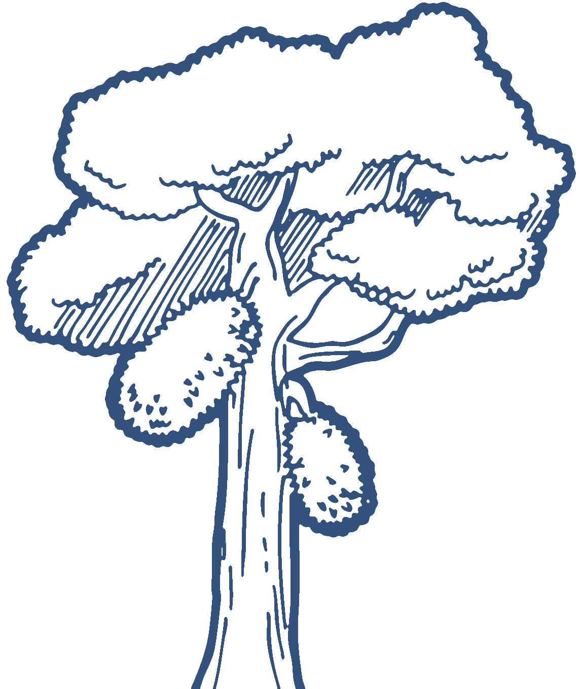 1144x1358 [ Tree With Fruits Clip Art ] Yew Fruit Clipart Clipground