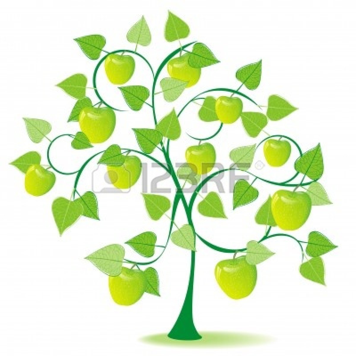 1200x1200 Apple Fruit Tree Clip Art Cliparts