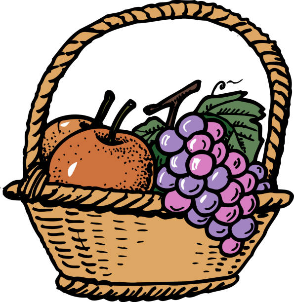 595x612 Picnic Basket Clipart Fruit Basket