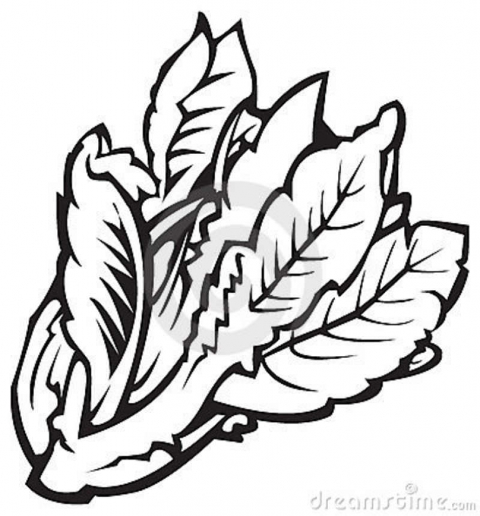 952x1024 Vegetables Clip Art