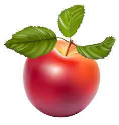 236x249 Carrot Clipart Png Image Carrots, Clip Art