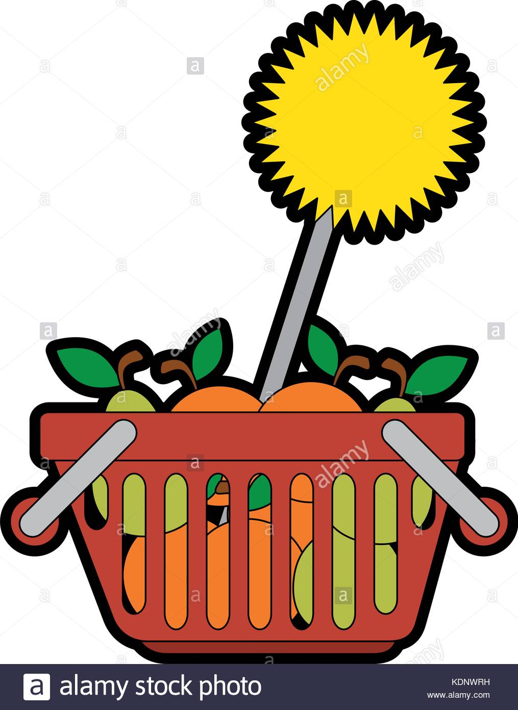 1015x1390 Fruits Basket Stock Vector Images