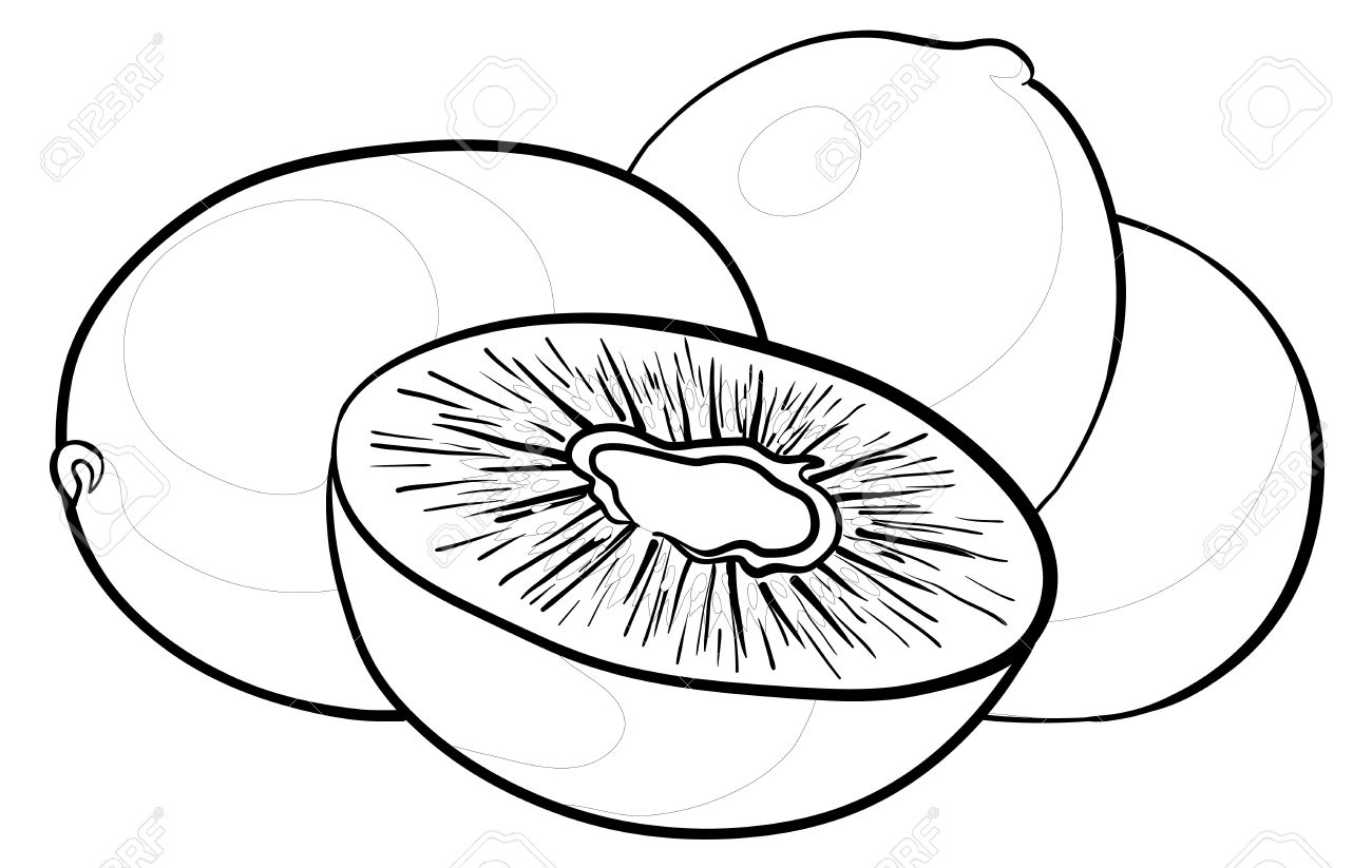 1300x823 Kiwi Clipart Black And White