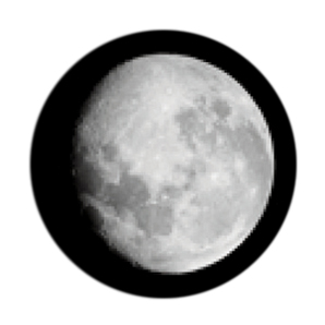 298x298 The Black Cat On The Moon