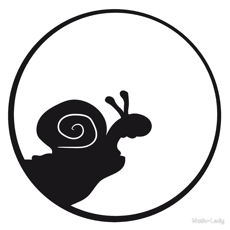 800x800 Moon Snail Clipart