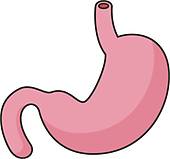 170x159 Stomach Clip Art