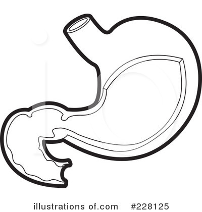 400x420 Stomach Clipart